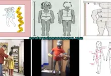 Aprende a como tomar medidas de niños Aprende a como tomar medidas de niños